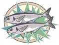 �ڽ�۰�,�H��,����,EPA,DHA